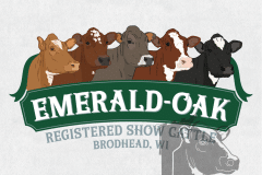 Emerald-Oak-Cattle