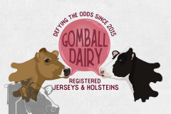 Gomball-Dairy