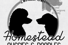 Homestead-Aussies-and-Doodles