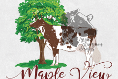 Maple-View-Dairy