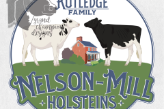 Nelson-Mill-Holsteins