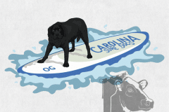 OG-Carolina-Surf-Dogs