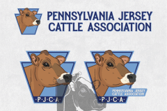 PJCA-Color