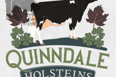 Quinndale-Holsteins-01