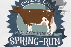 Spring-Run-Farms