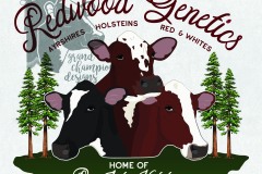 gcd-logos-15