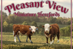 Custom Design on sign - Pleasant View Herefords