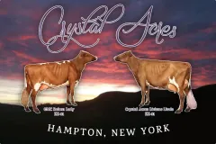 crystal-acres-milking-shorthorns-sign