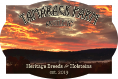 Custom Design by GCD - Tamarack Farm