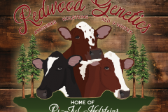 Custom Logo by GCD on sign - Redwood Genetics