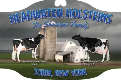 headwater-holsteins-sign