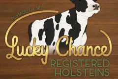 lucky-chance-holsteins-farm-sign