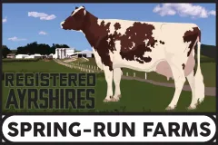 spring-run-farms-sign