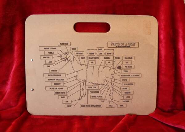 Livestock Parts Clipboard - Image 4