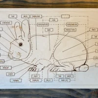 Laser-Cut Livestock Puzzles