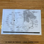 Laminated Livestock Parts Identification Guides - Image 4