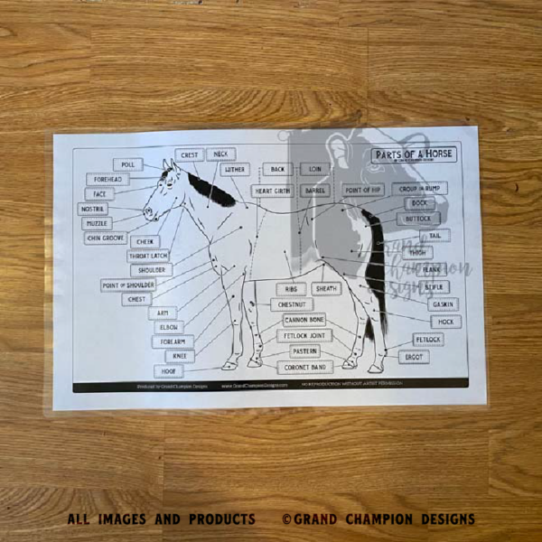 Laminated Livestock Parts Identification Guides - Image 7