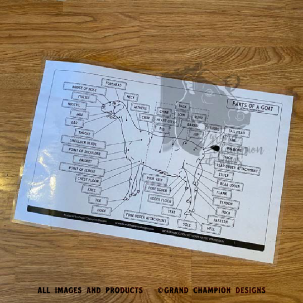 Laminated Livestock Parts Identification Guides - Image 9