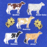 Embroidered Dairy Royalty Sash - Image 2