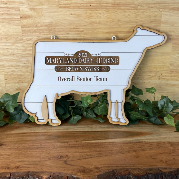 Shiplap Silhouette Plaque - Image 4