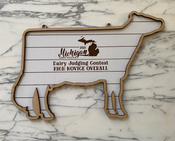 Shiplap Silhouette Plaque - Image 5