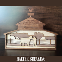 BarnView Layered Wood Awards