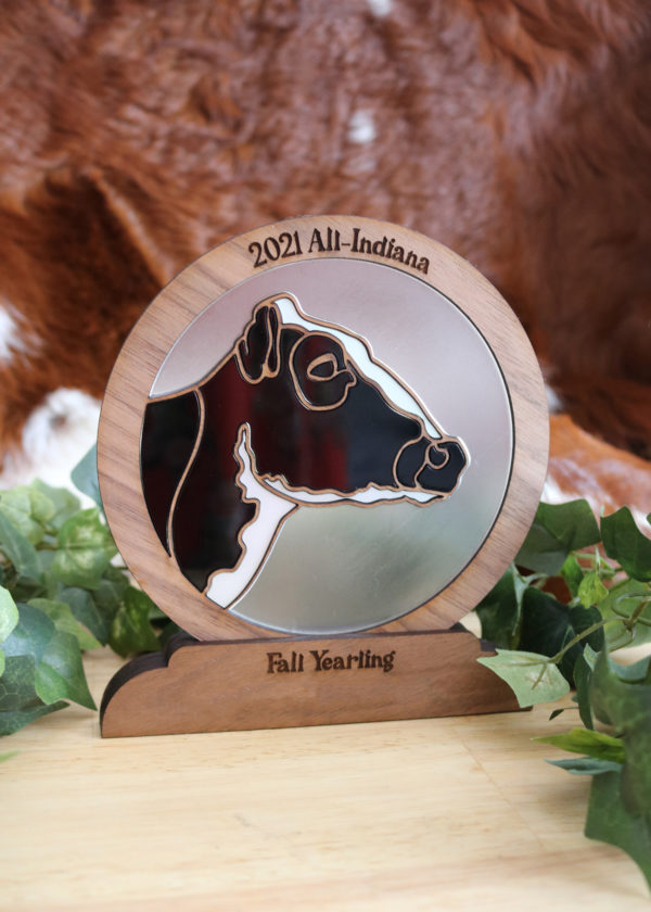 mosiac award
