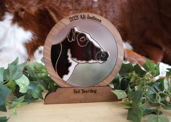 cow awards