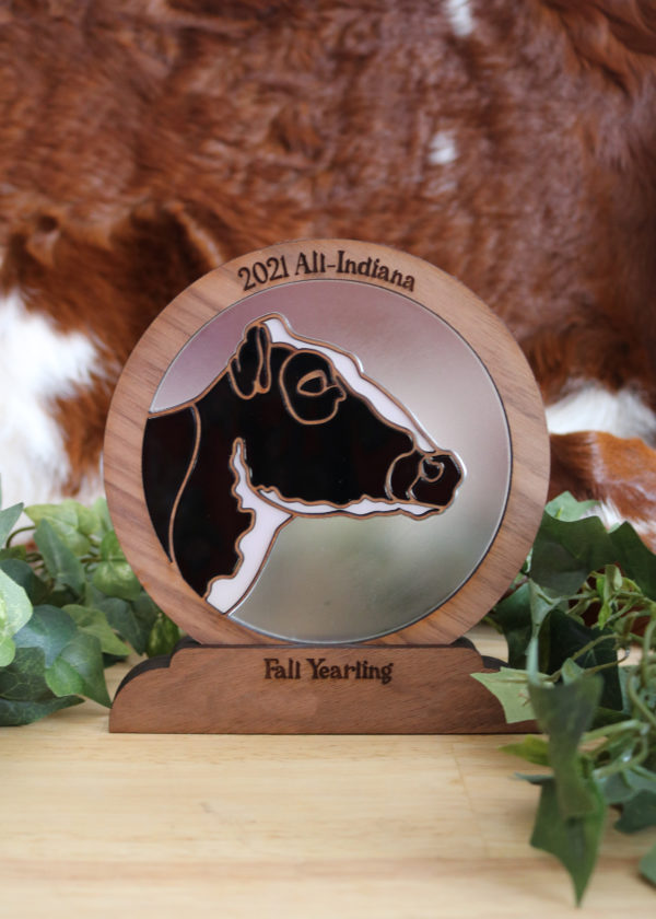 stained glass awards
