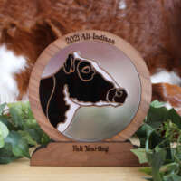 stained glass awards