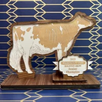 Walnut Cow Stand Awards