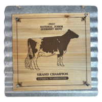 Galvanized Wall Hanger