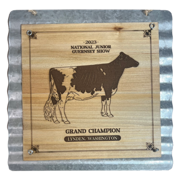 Galvanized Wall Hanger
