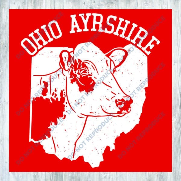 OABA Vintage Apparel - Youth Sizes - Image 2