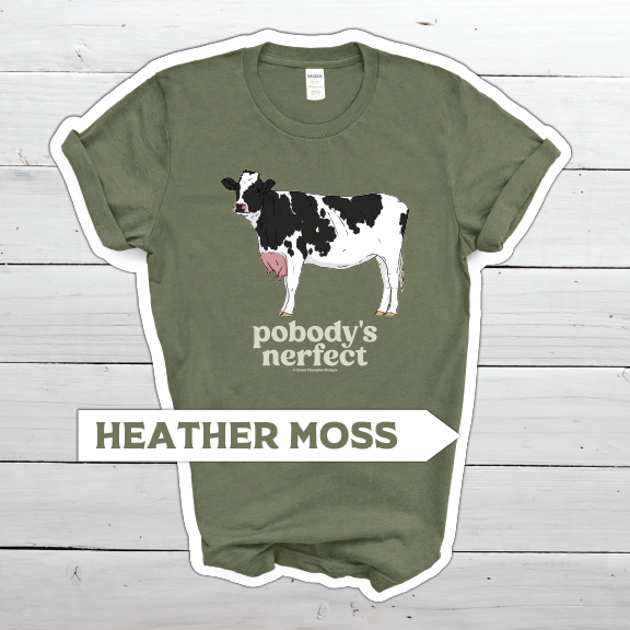 Pobody's Nerfect - Image 4