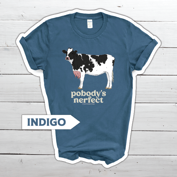 Pobody's Nerfect - Image 3