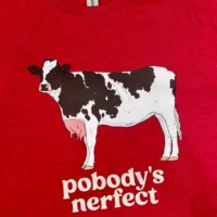 Pobody's Nerfect