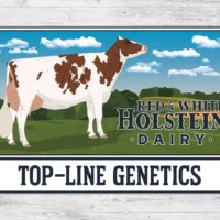 Blue Ribbon Dairy Farm Signs