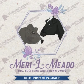 Blue-Ribbon-104
