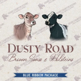 Blue-Ribbon-12