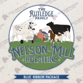 Blue-Ribbon-169