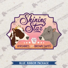 Blue-Ribbon-247