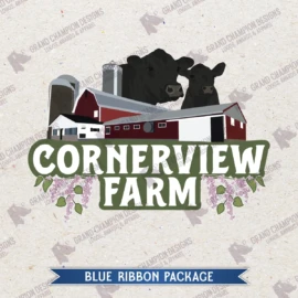Blue-Ribbon-9